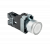 Кнопка с подсветкой белая 220V 1NO